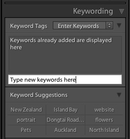 Keywords in Lightroom 5