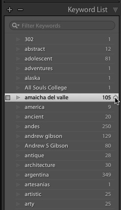 Keywords in Lightroom 5