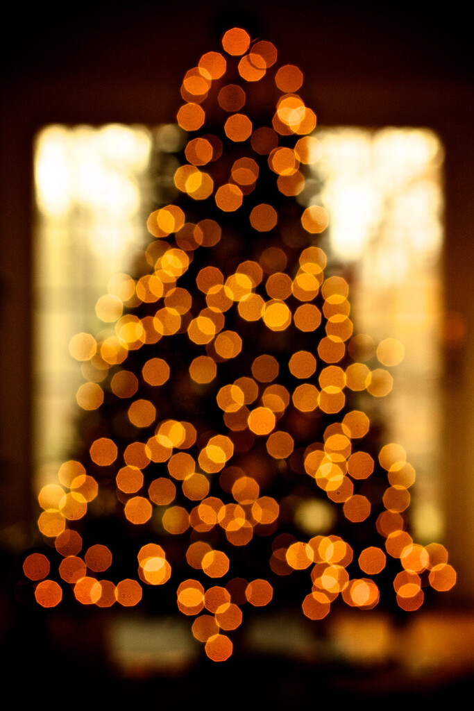 how to take beautiful bokeh christmas images with 39 how to take beautiful bokeh christmas images with 39