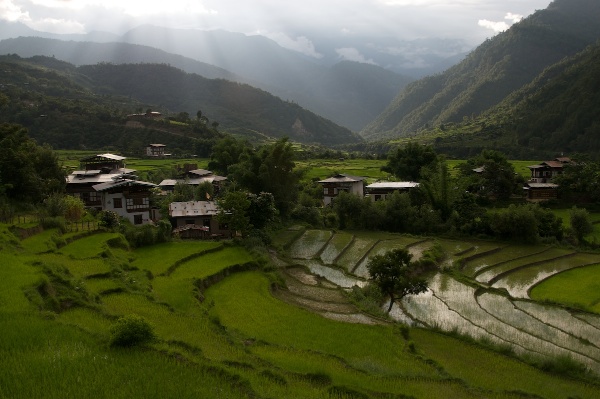 Travel Photography Tips Landscapes Sunset Over Rice Paddies  Punakha Bhutan  Copyright 2013 Ralph Velasco