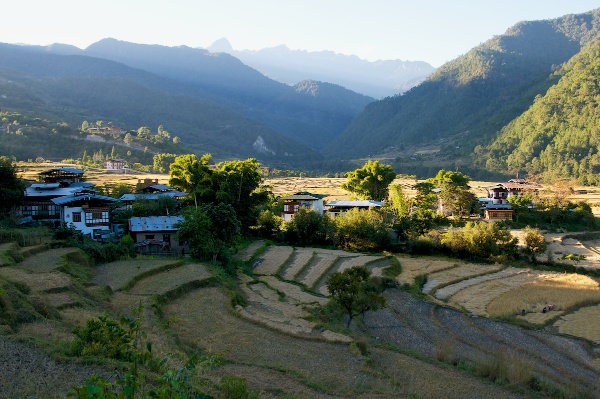 Travel Photography Tips Landscapes Dried Up Rice Paddy Landscape in November  Punakha Bhutan  Copyright 2013 Ralph Velasco