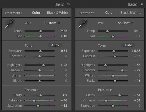 Lightroom develop presets