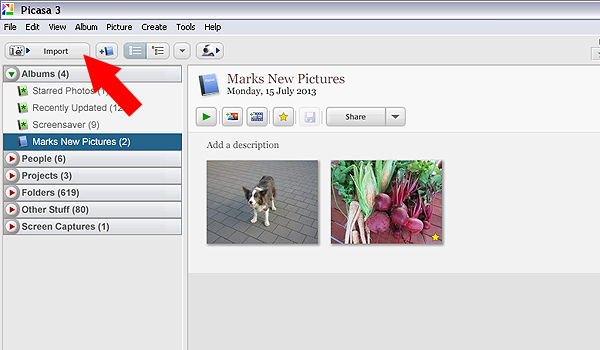 Picasa import button 02