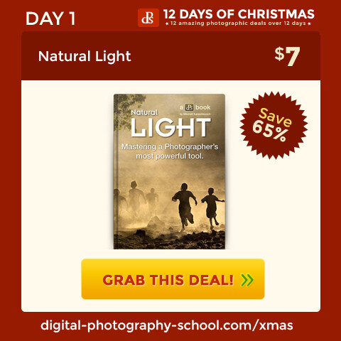 Natural Light By Mitchell Kanashkevich Ebook