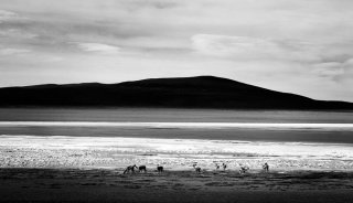 The Exotic Landscape