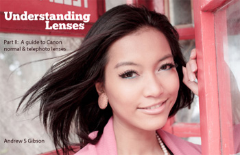 Understanding Lenses ebook