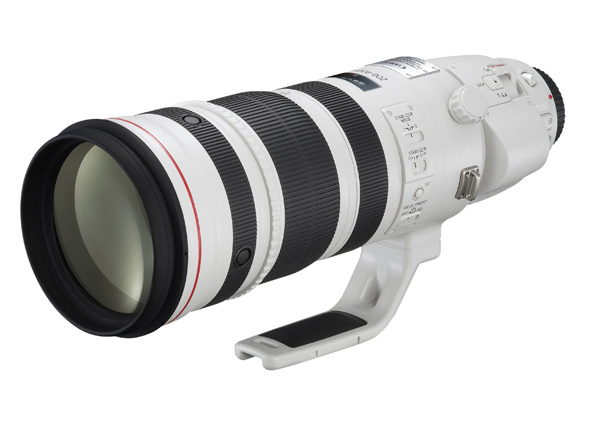 Canon 200-400mm zoom