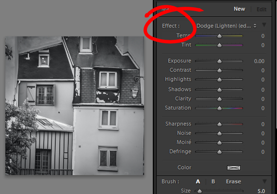 Double click Effect to reset all the Adjustment Brush sliders.