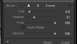 Size the brush using the Size slider