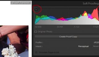 Lightroom-hidden-treasures-tips-02.JPG