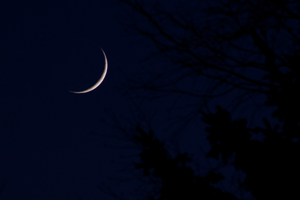 moon, moon photography, crescent moon, how to, crescent, craters