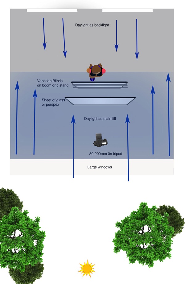 Window Diagram