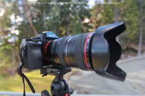 Sony A7R Review with Canon L Lenses