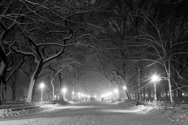 Poets' Walk, Central park, NYC.