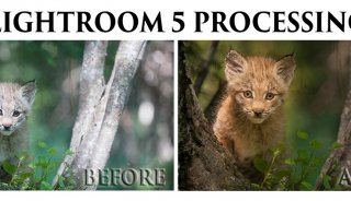 Lightroom5-processing