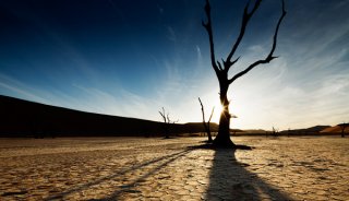 MWT_Avail_Light_5