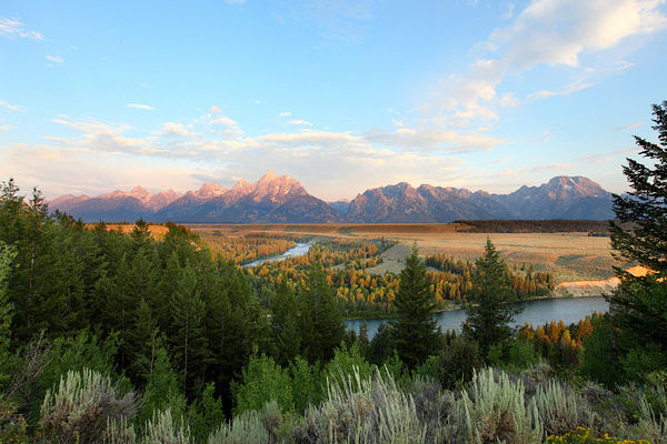 8 Tetons Blend