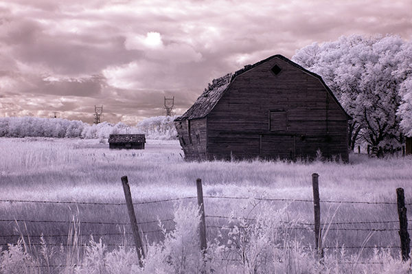 infrared image with autotone applied