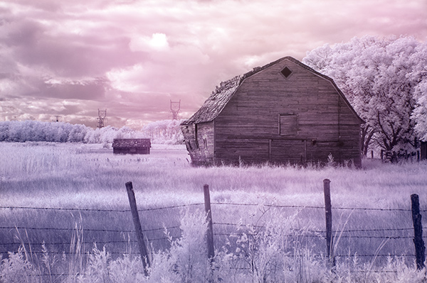 infrared image with post processing added.