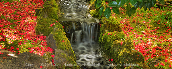 Butchart Gardens Vancouve Island Gavin Hardcastle