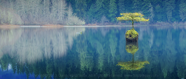 gavin-hardcastle-fairy-lake-port-renfrew-vancouver-island-crop