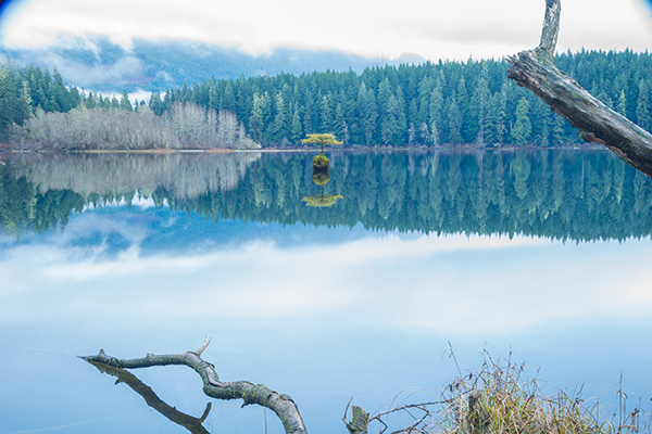 gavin-hardcastle-fairy-lake-port-renfrew-vancouver-island-full