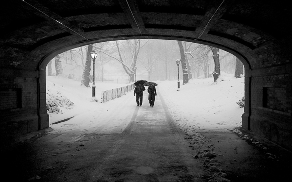 Couple in Snowstorm, Central Park