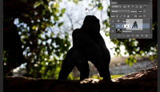 Gorilla-duplicating-masks-on-other-adjustment-layers.jpg