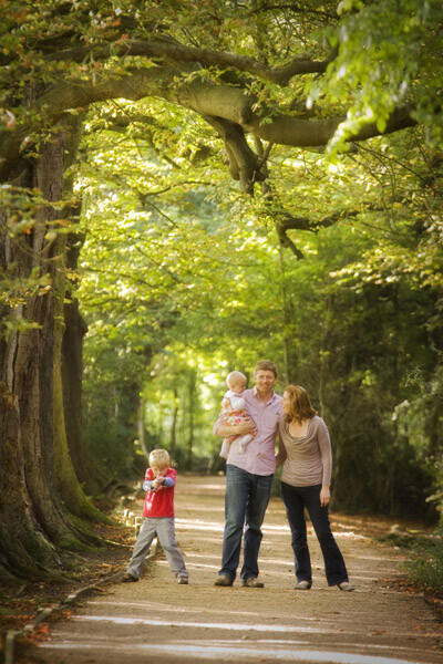 Long avenue of trees