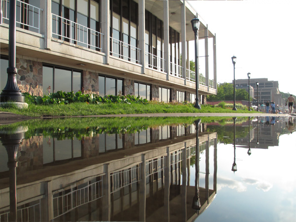 puddle, reflection, symmetry, how to