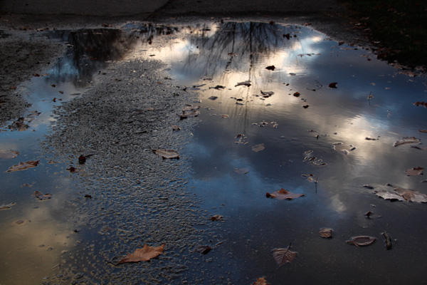 puddle