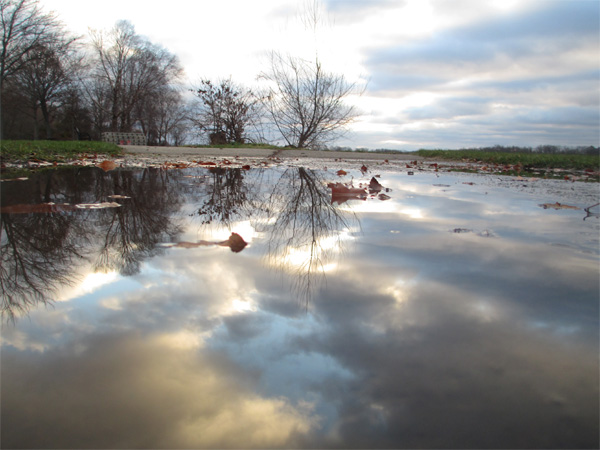 puddle, reflection, symmetry, how to, sunset