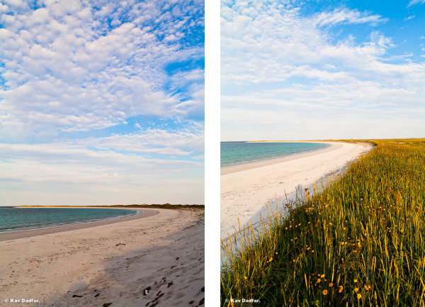 The photo on the left was my first shot. On the right was after around 20 mins several shots later.