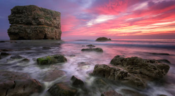 pink-seascape.jpg