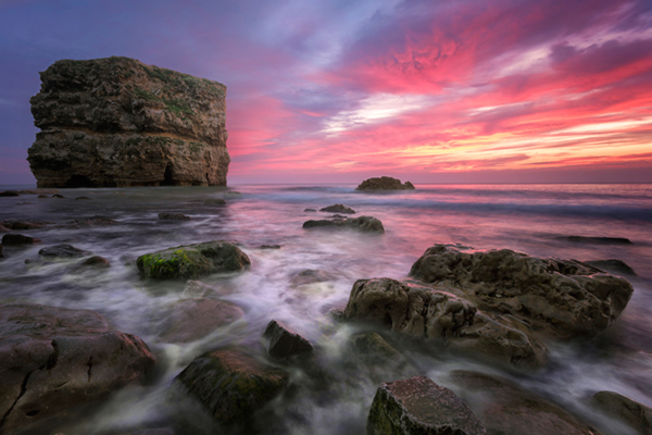 Pink seascape