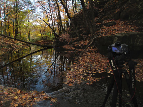 fall, autumn, photography, tripod, setup