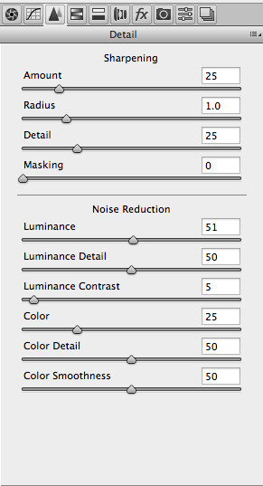 The noise reduction sliders in Photoshop Camera Raw, are identical in Lightroom