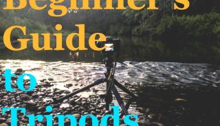 beginners-tripods