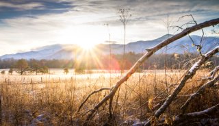 winter-landscape.jpg