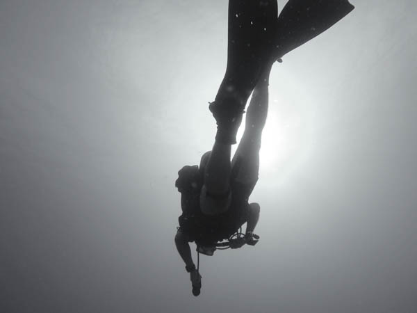 Diver Swimming