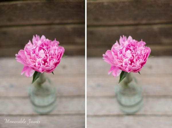 Left is SOOC; Right is Lens Correction adjustment (notice the wood panel in the top of the image)