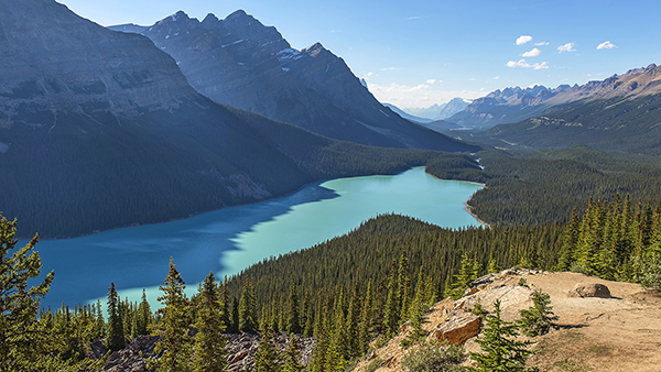 The magnificent Peyto Lake in the Canadian Rockies, made with the 24-70mm lens