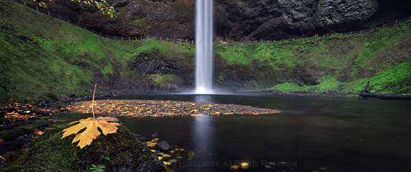 Not using a polarizer in landscape photography at Silver Falls State Park