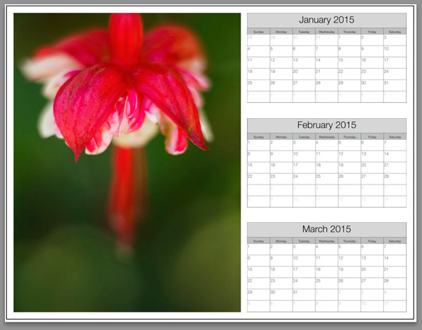 Create a calendar in the Lightroom Print module