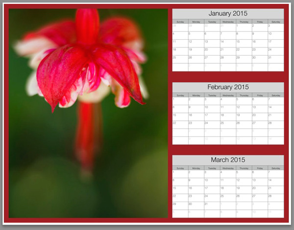 Create a calendar in the Lightroom Print module