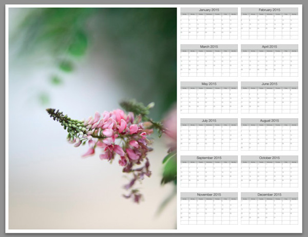 Create a calendar in the Lightroom Print module