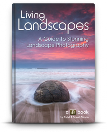 living_landscapes3-363x448