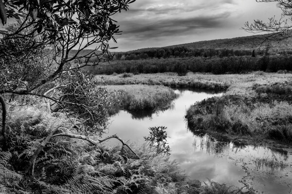 By studying the images of great photographers of the past and present we can learn how to approach our own images. This image, captured in the Canaan Valley Resort State Park in West Virginia, reminded me of Ansel's image The Tetons and Snake River.