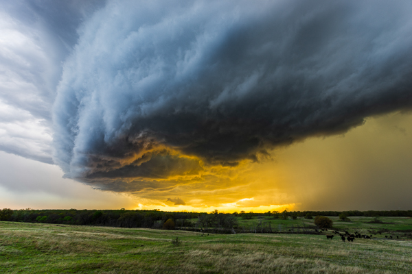 Shelf Cloud Over Ardmore, Oklahoma