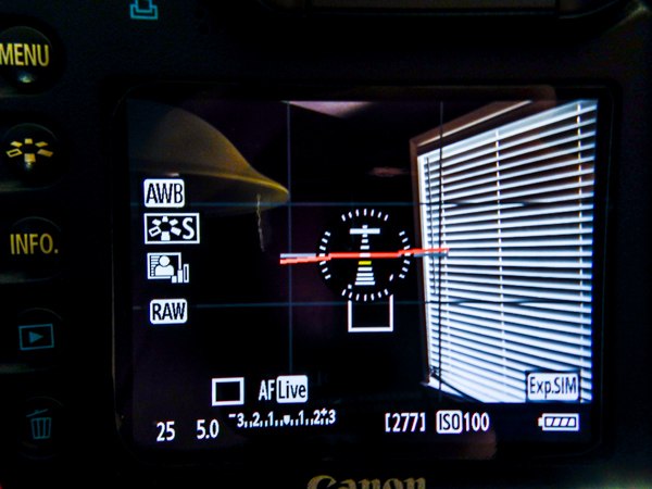 Camera Display